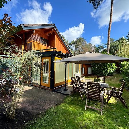 Houten Chalet/Bungalow In Het Bos, Sauna, Jacuzzi Meijel Экстерьер фото