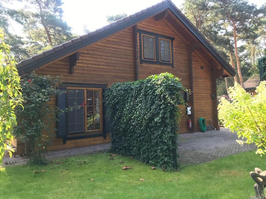 Houten Chalet/Bungalow In Het Bos, Sauna, Jacuzzi Meijel Экстерьер фото